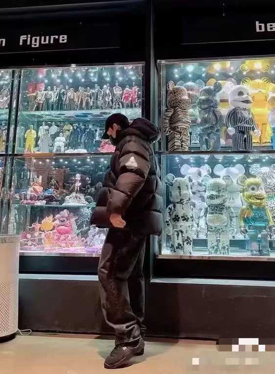 Puffer Palace Jacket